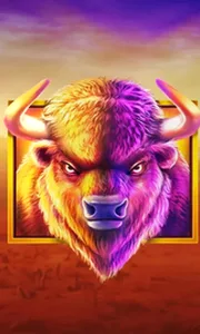 Buffalo King
